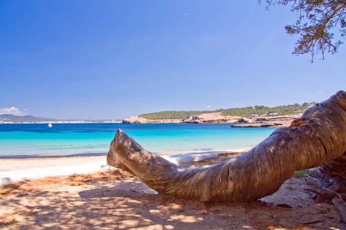 Ibiza Cala Bassa