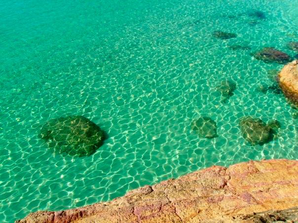 Ibiza Cala Salada