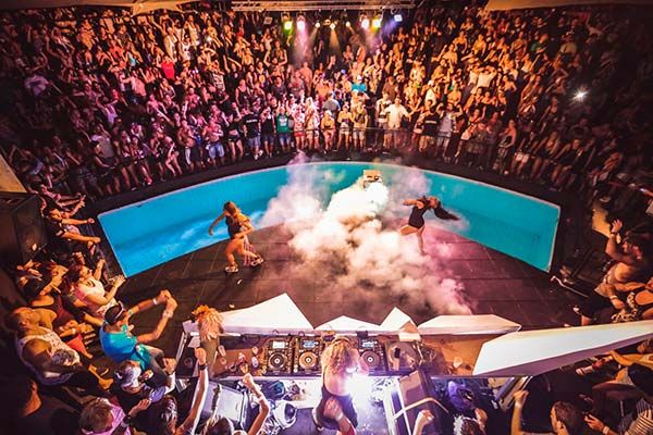 The Zoo Project Ibiza