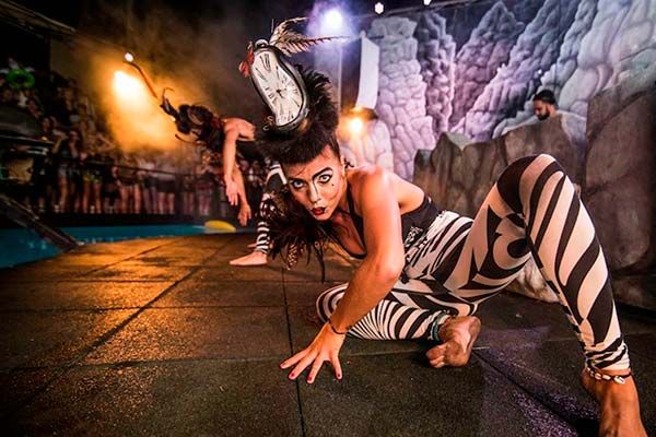 The Zoo Project Ibiza