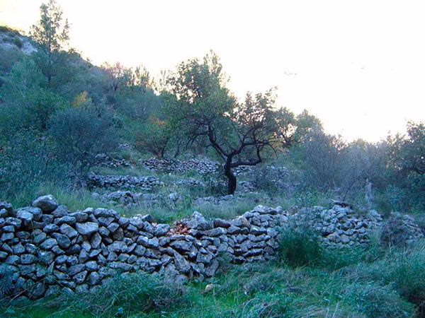 Barranc de l'Infern