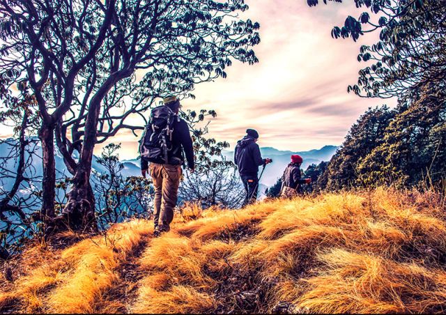 Camino de Santiago