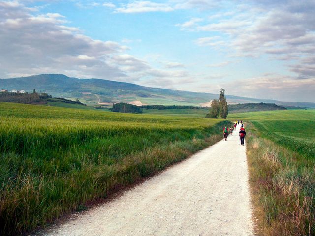 Camino de Santiago