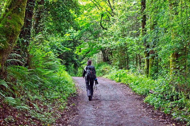 Camino de Santiago